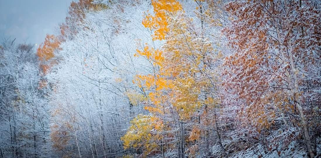 Activités d’hiver pour une famille signée locale