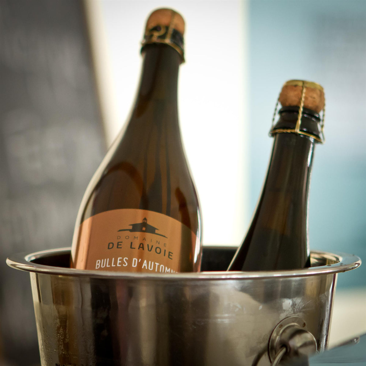 Dégustation de vin et bouteille - Domaine de Lavoie - Vignoble et cidrerie