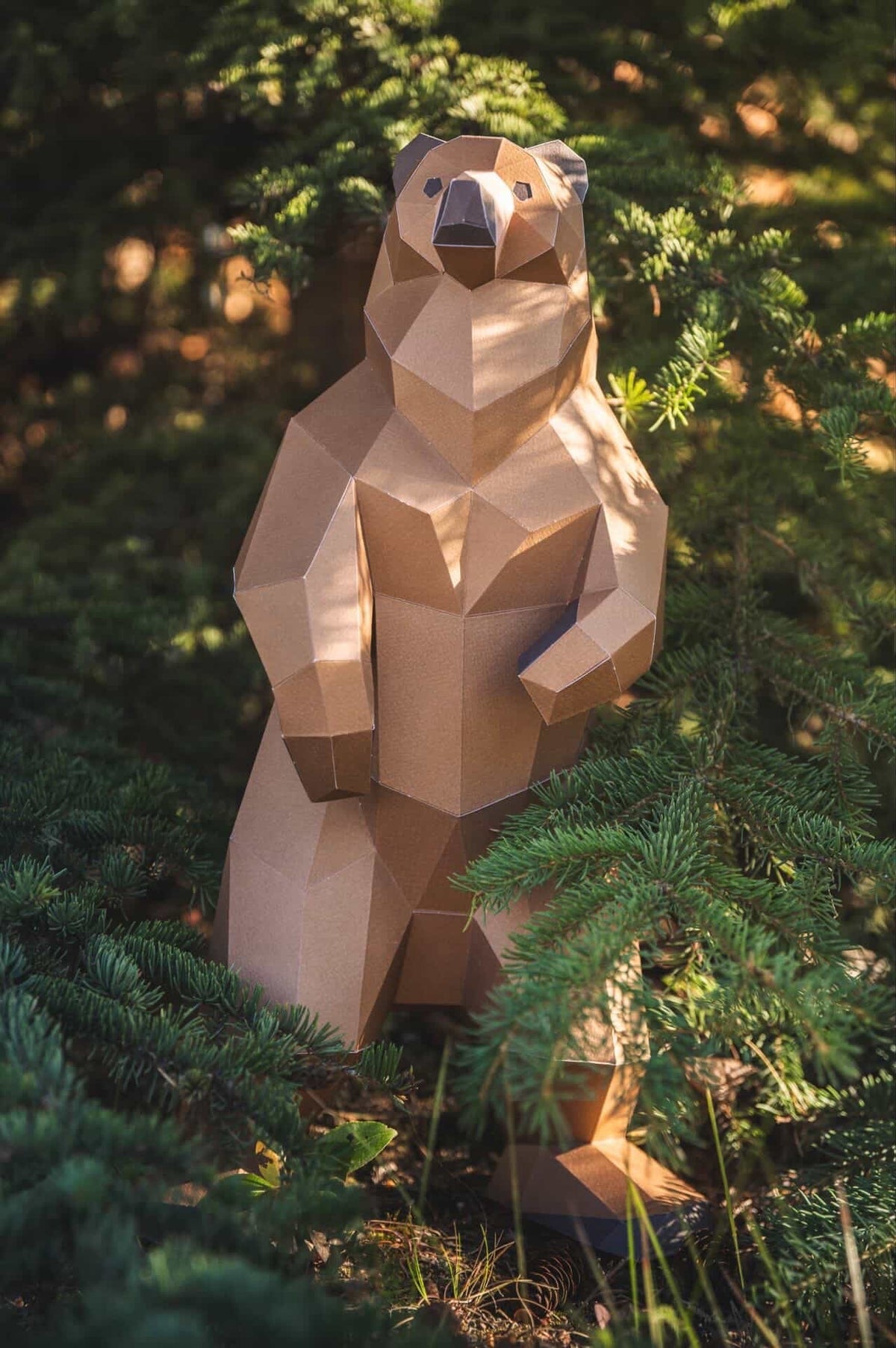 Ours Grizzly