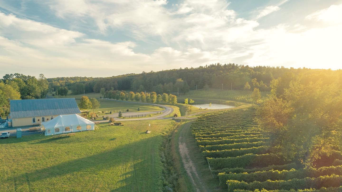 Dégustation de vins et cadeaux pour 2 personnes - Vignoble Domaine Bresee
