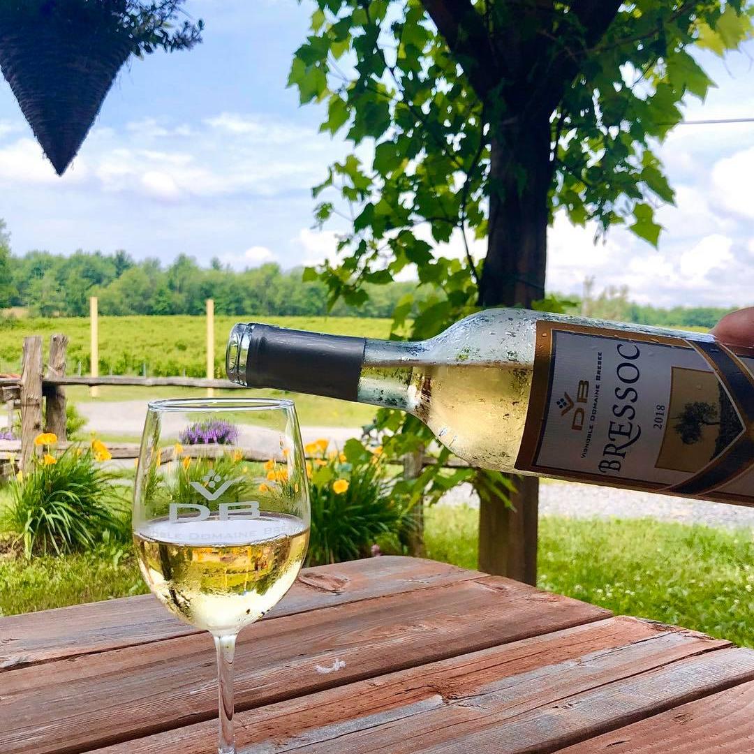Dégustation de vins et cadeaux pour 2 personnes - Vignoble Domaine Bresee