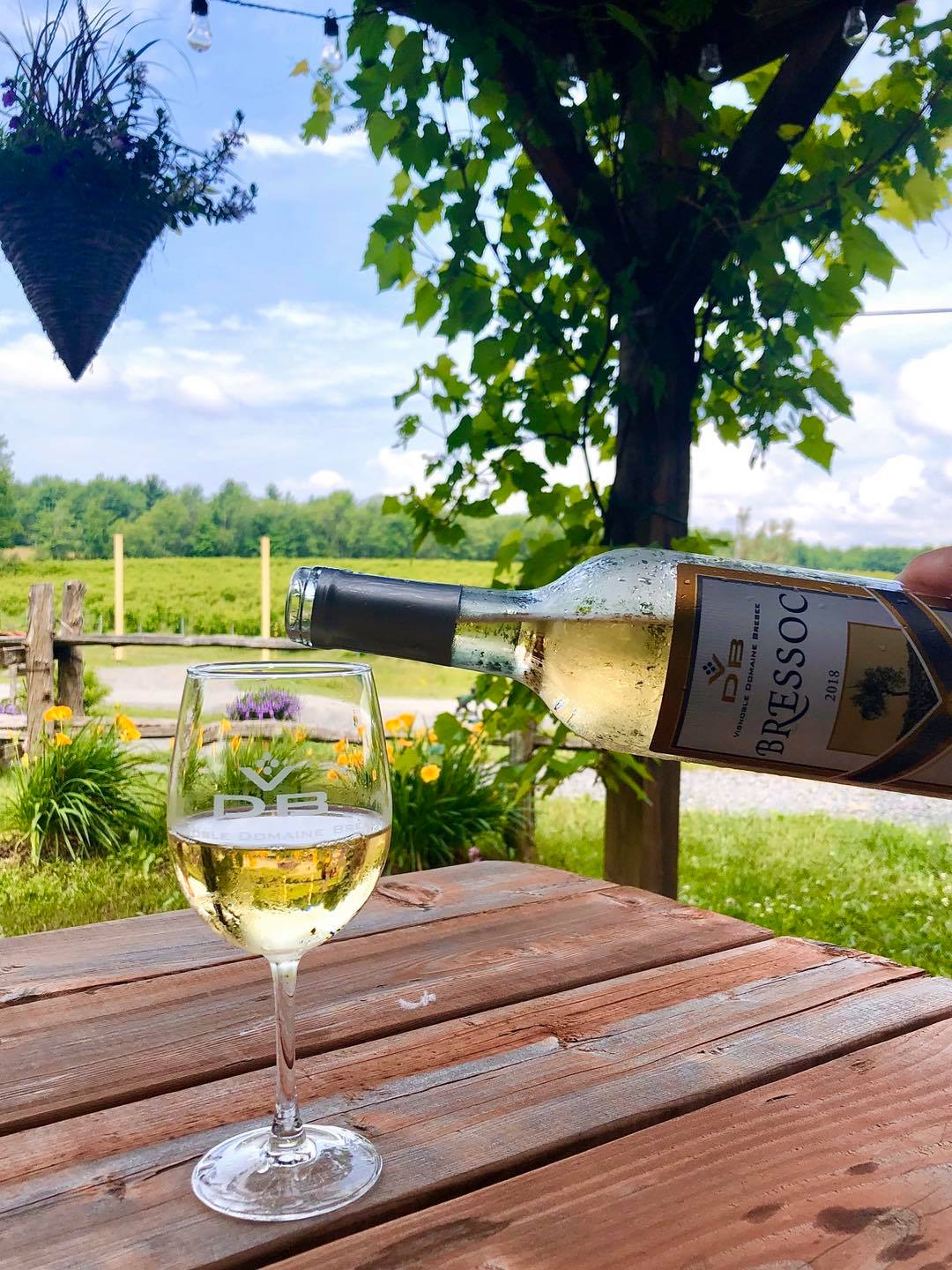 Dégustation et bouteilles de vin pour 2 personnes - Vignoble Domaine Bresee