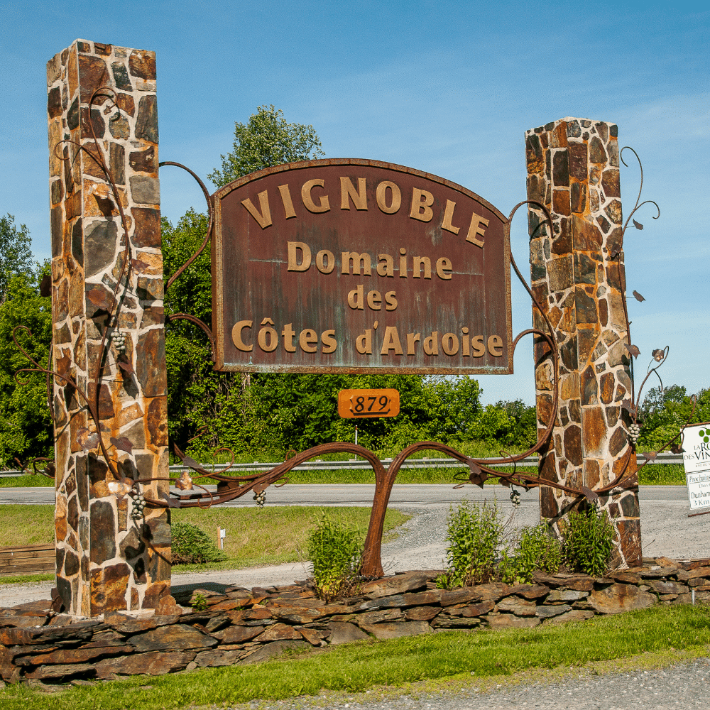 Dégustation de vins et fromages pour 2 personnes - Domaine des Côtes d'Ardoise