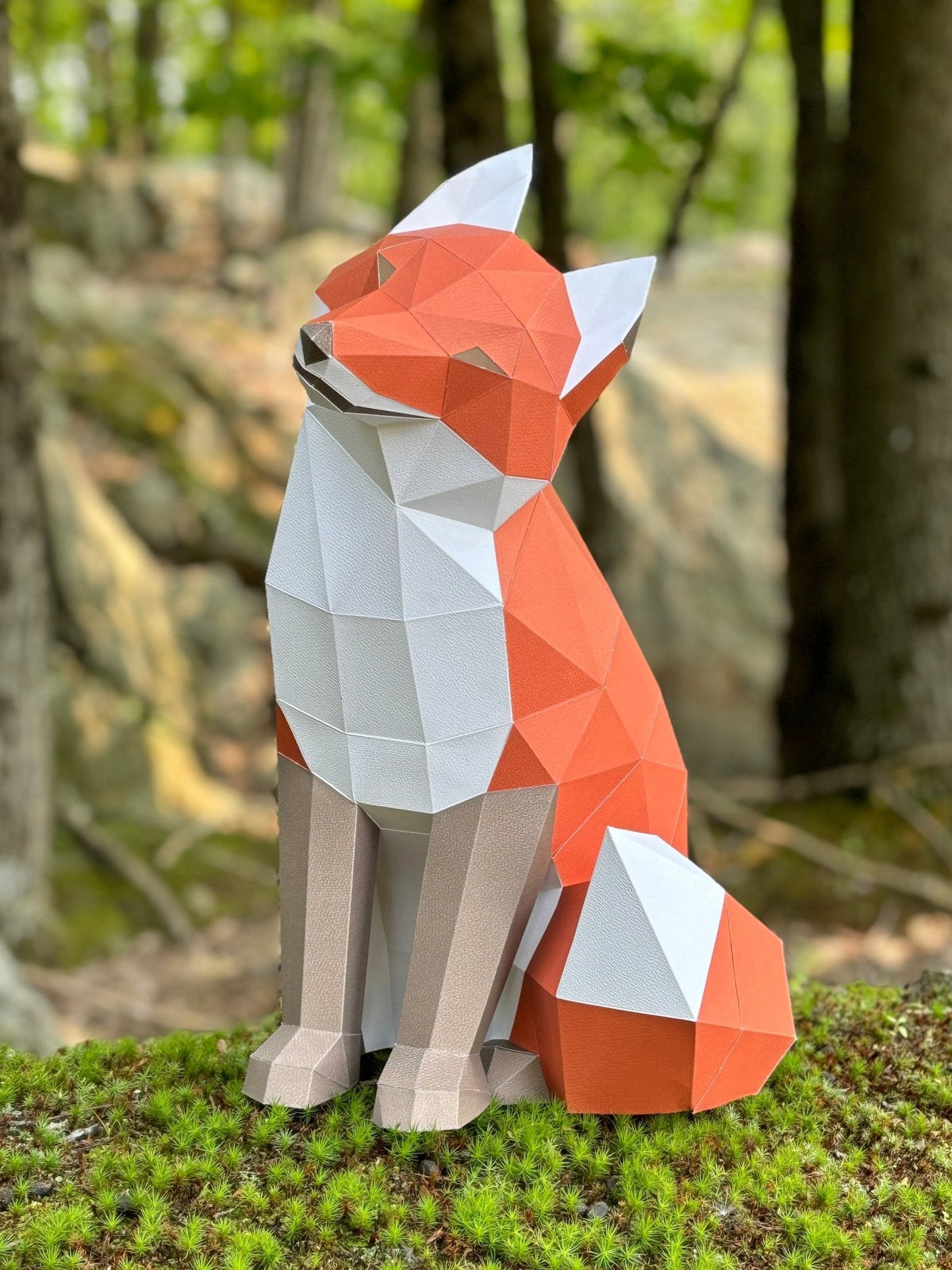 Renard