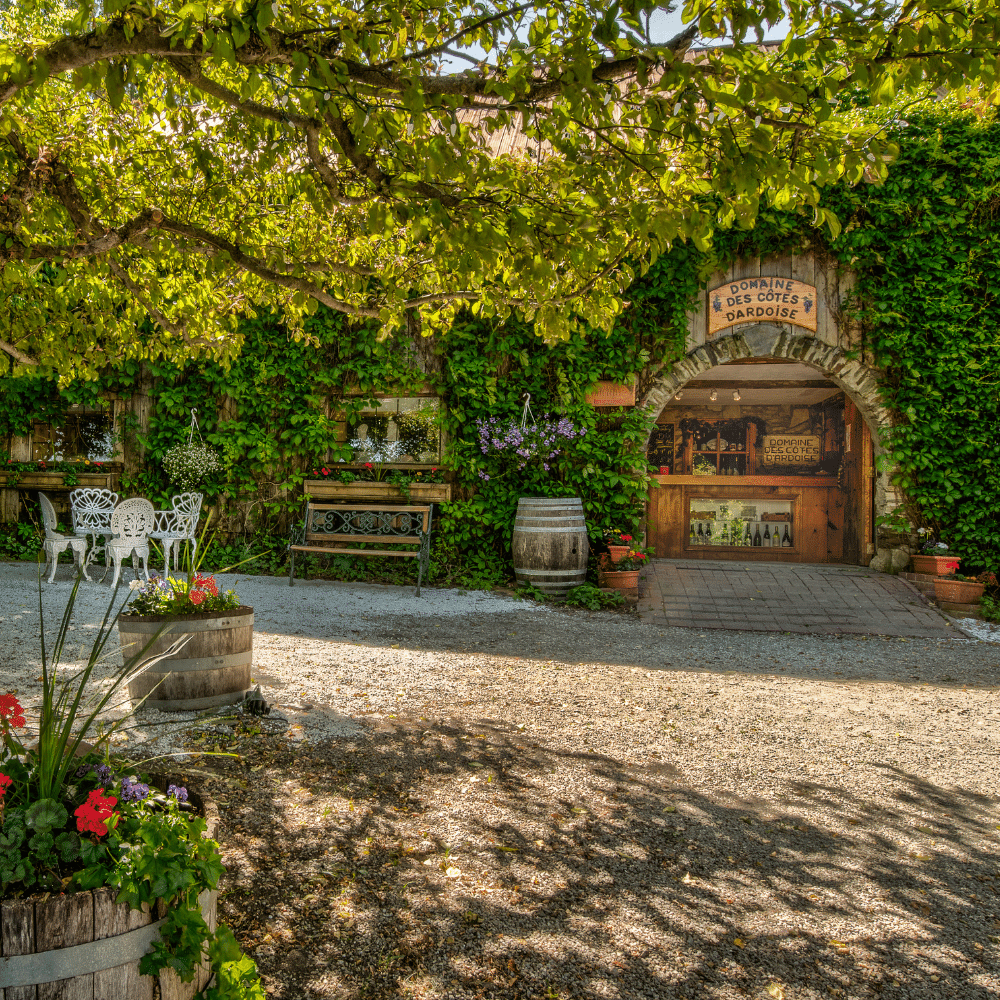 Dégustation de vins pour 2 personnes - Domaine des Côtes d'Ardoise