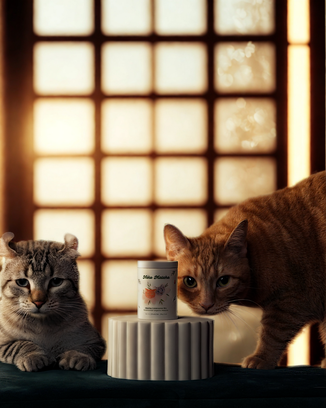 Neko Matcha ÉCOCERT