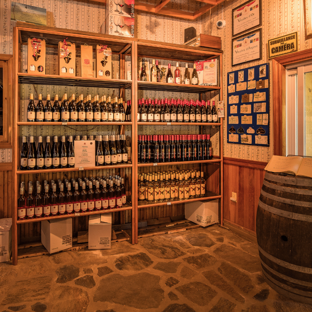 Dégustation de vins et fromages pour 2 personnes - Domaine des Côtes d'Ardoise