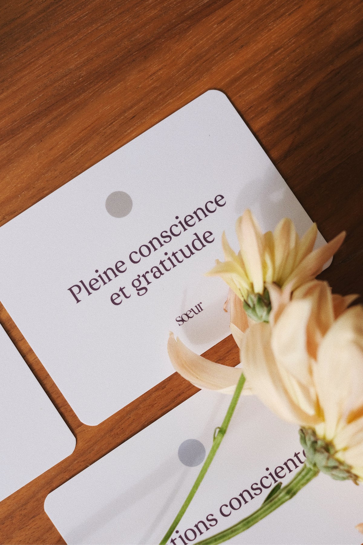 Cartes d'Affirmations Conscientes