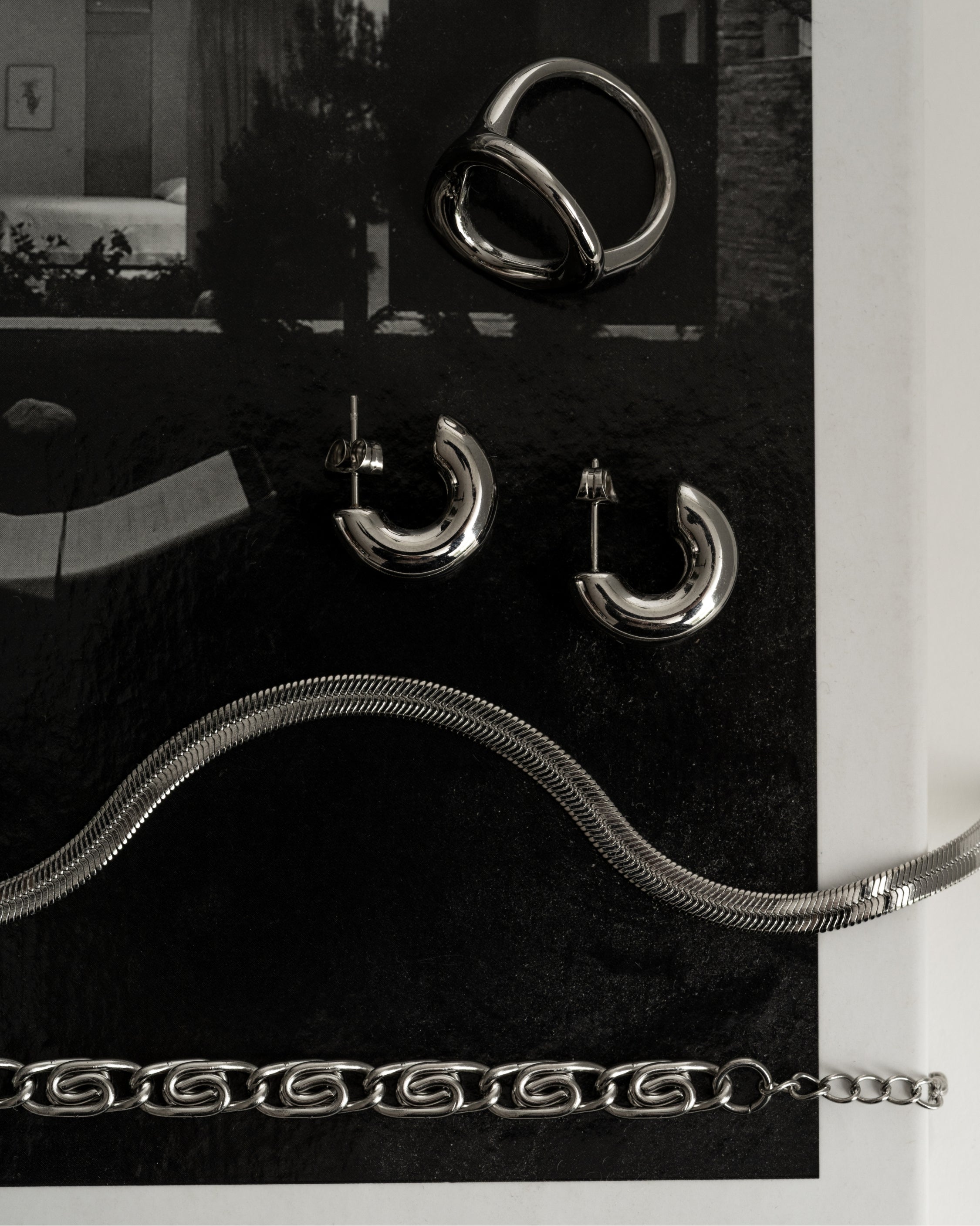 Collier snake