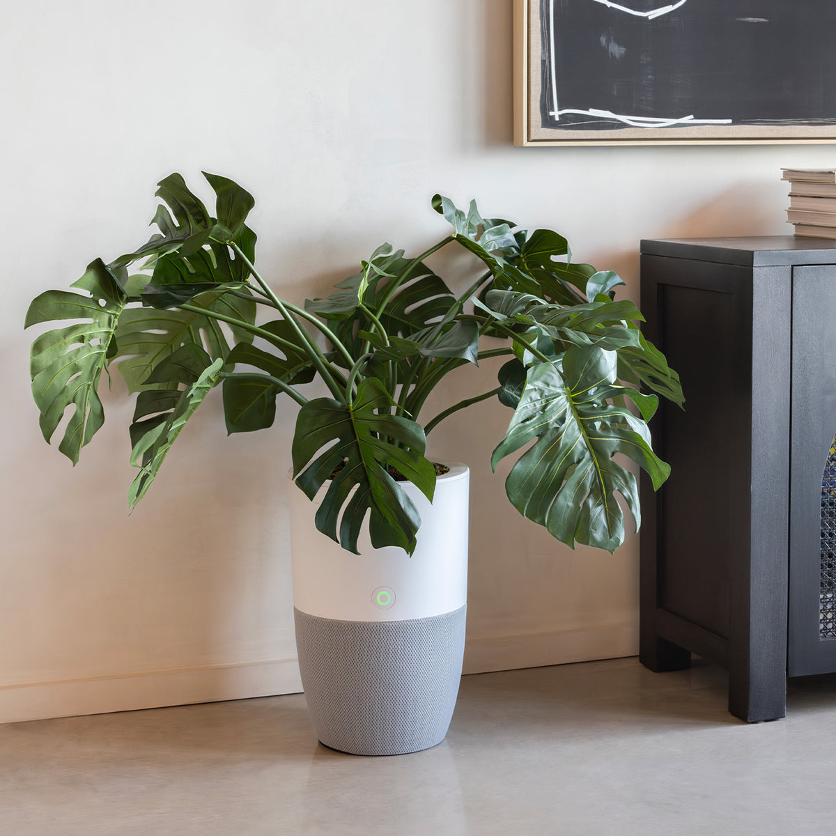 Purificateur d'air Bloom avec une grande plante dans un salon