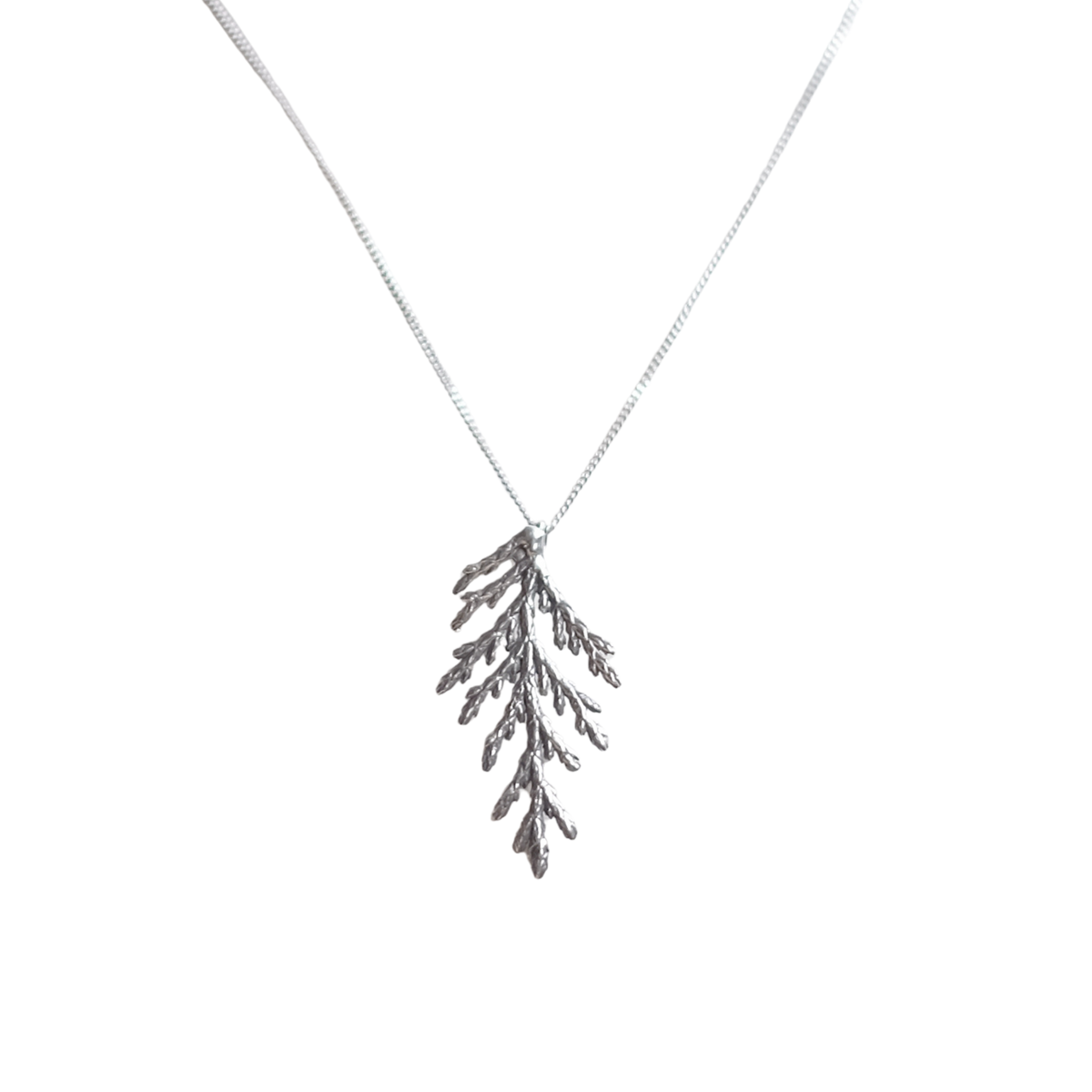 Collier branche de cèdre, grand