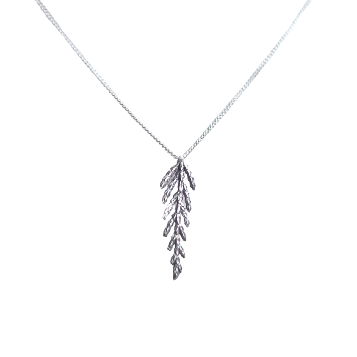 Collier branche de cèdre, petit