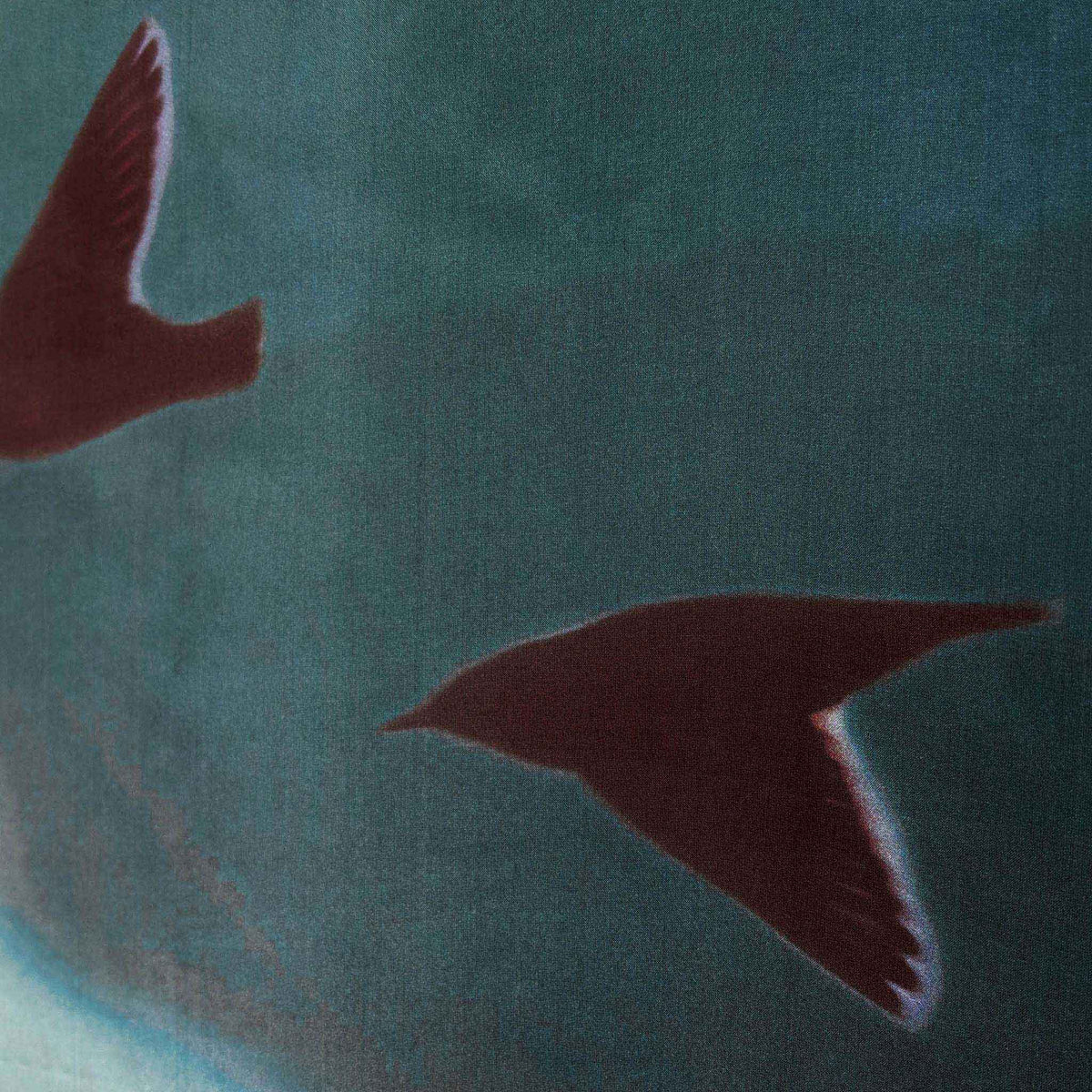 Aera Iridis