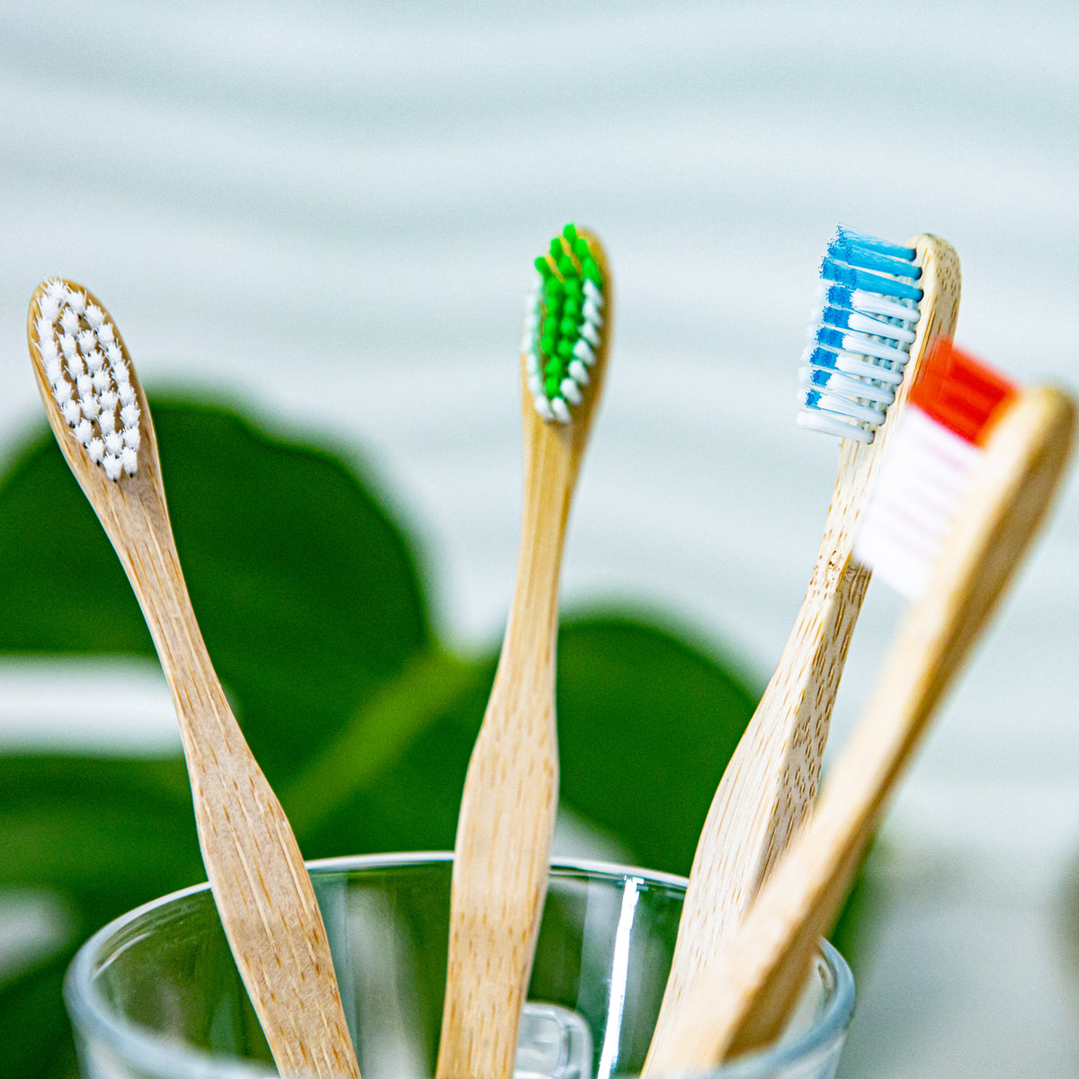 Paquet de 4 Brosses à Dents en Bamboo