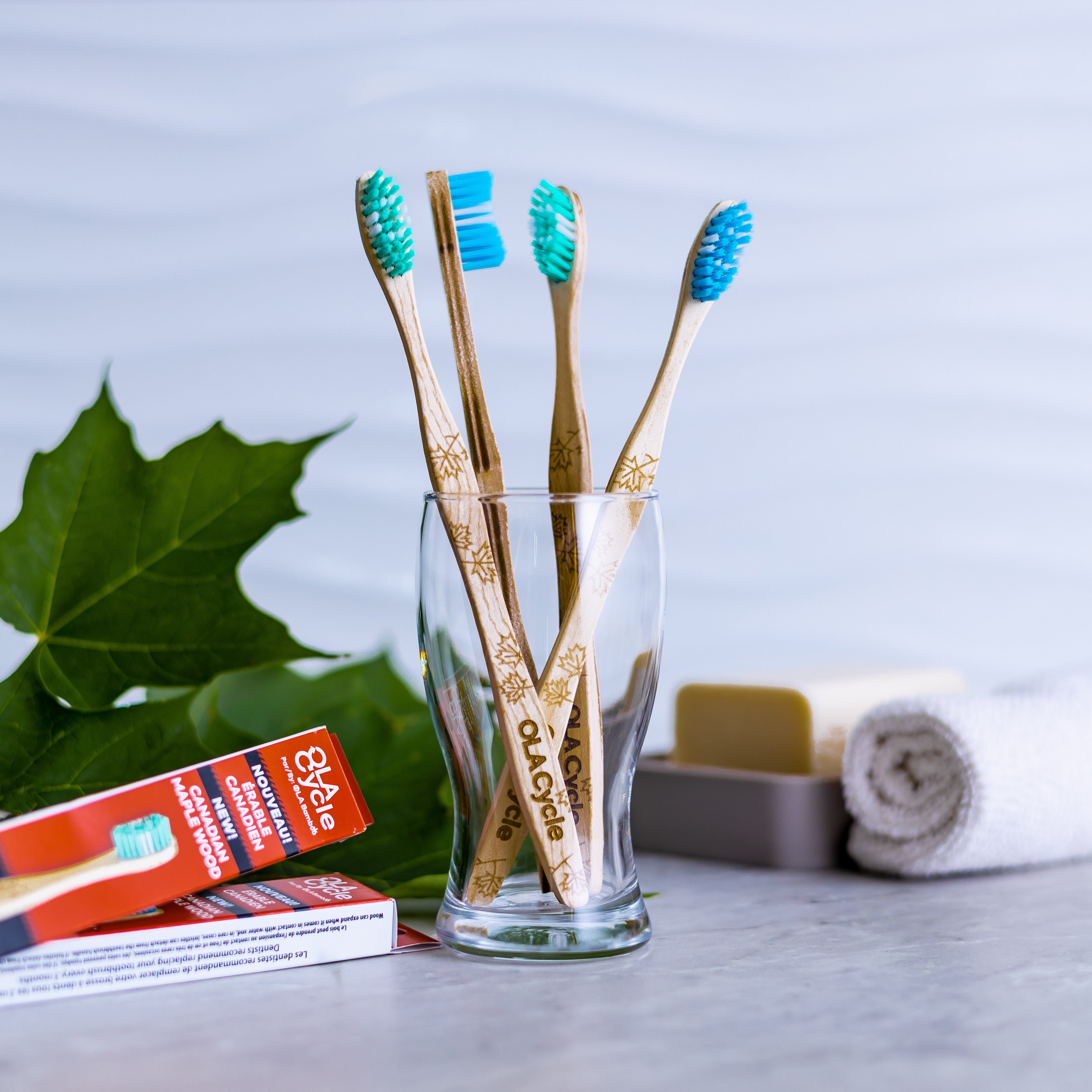 Brosse à dents en érable canadien