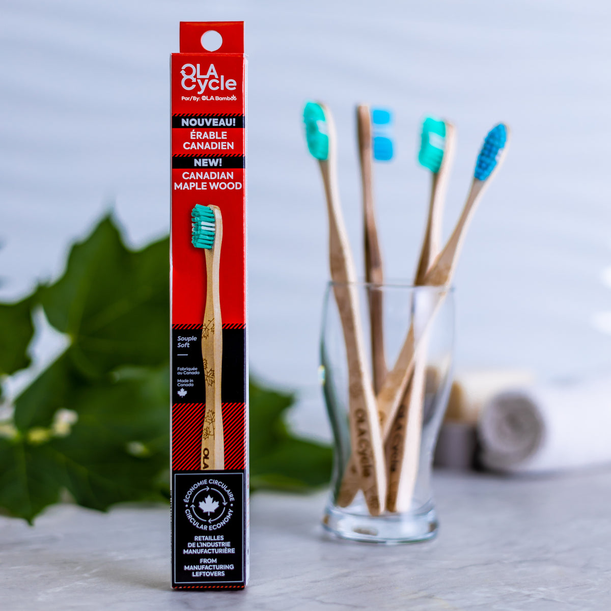Brosse à dents en érable canadien