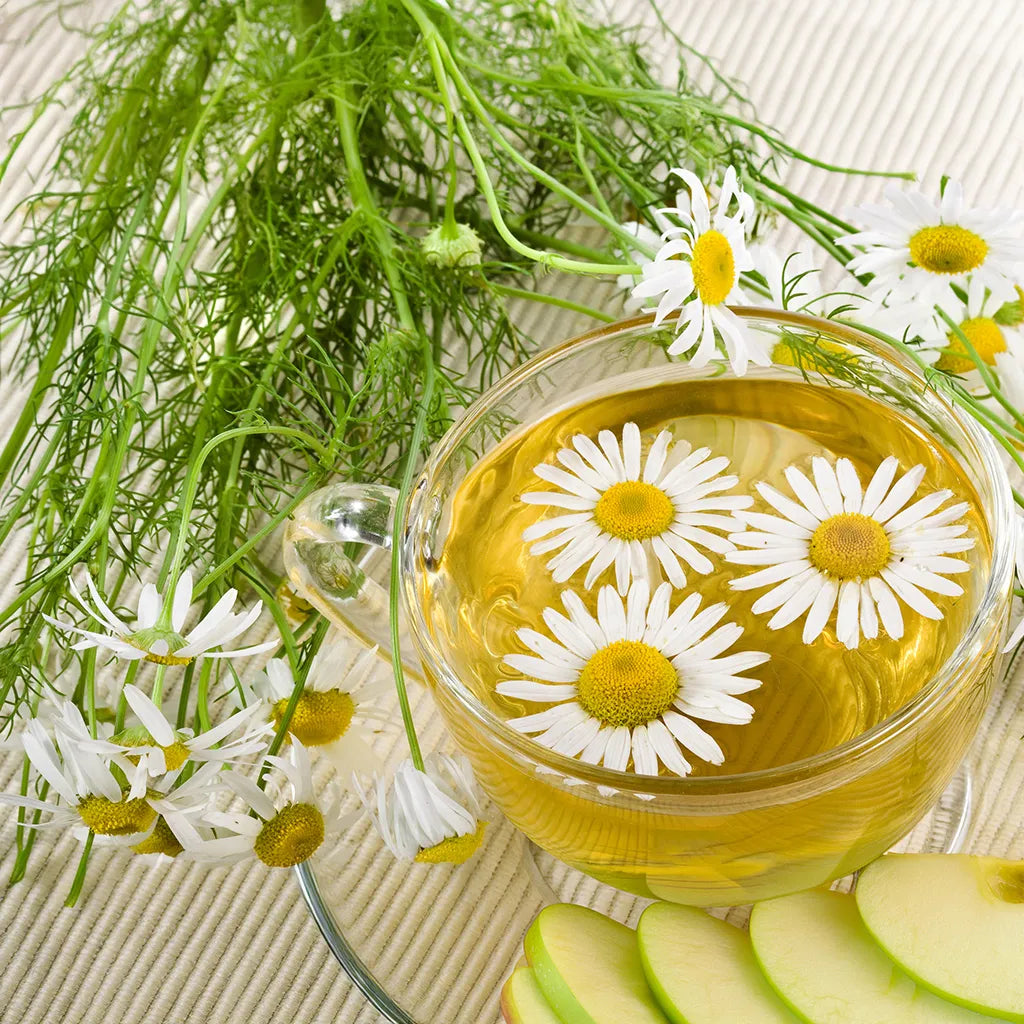 Tisane Camomille