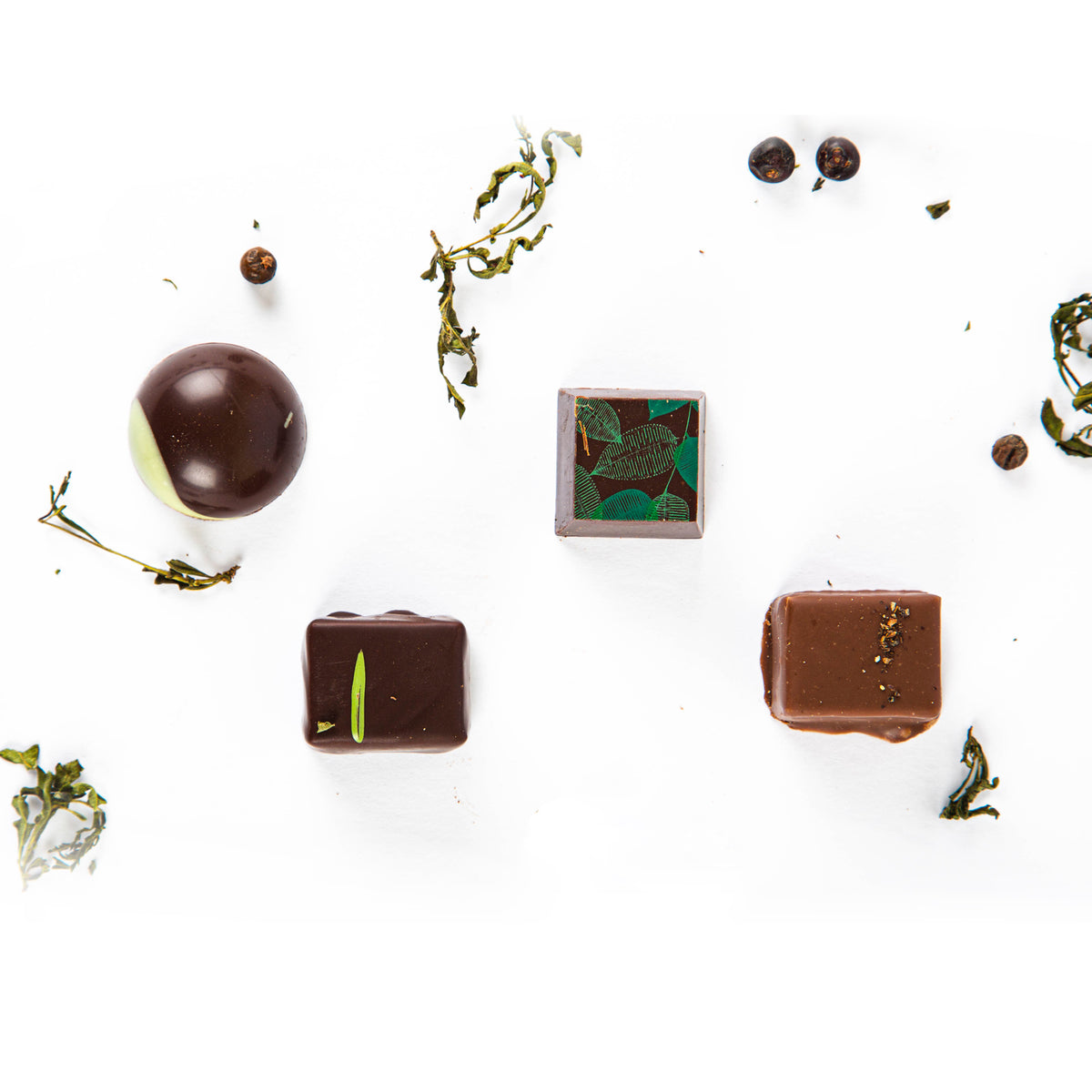 Boîte chocolats forestiers - Voyageur