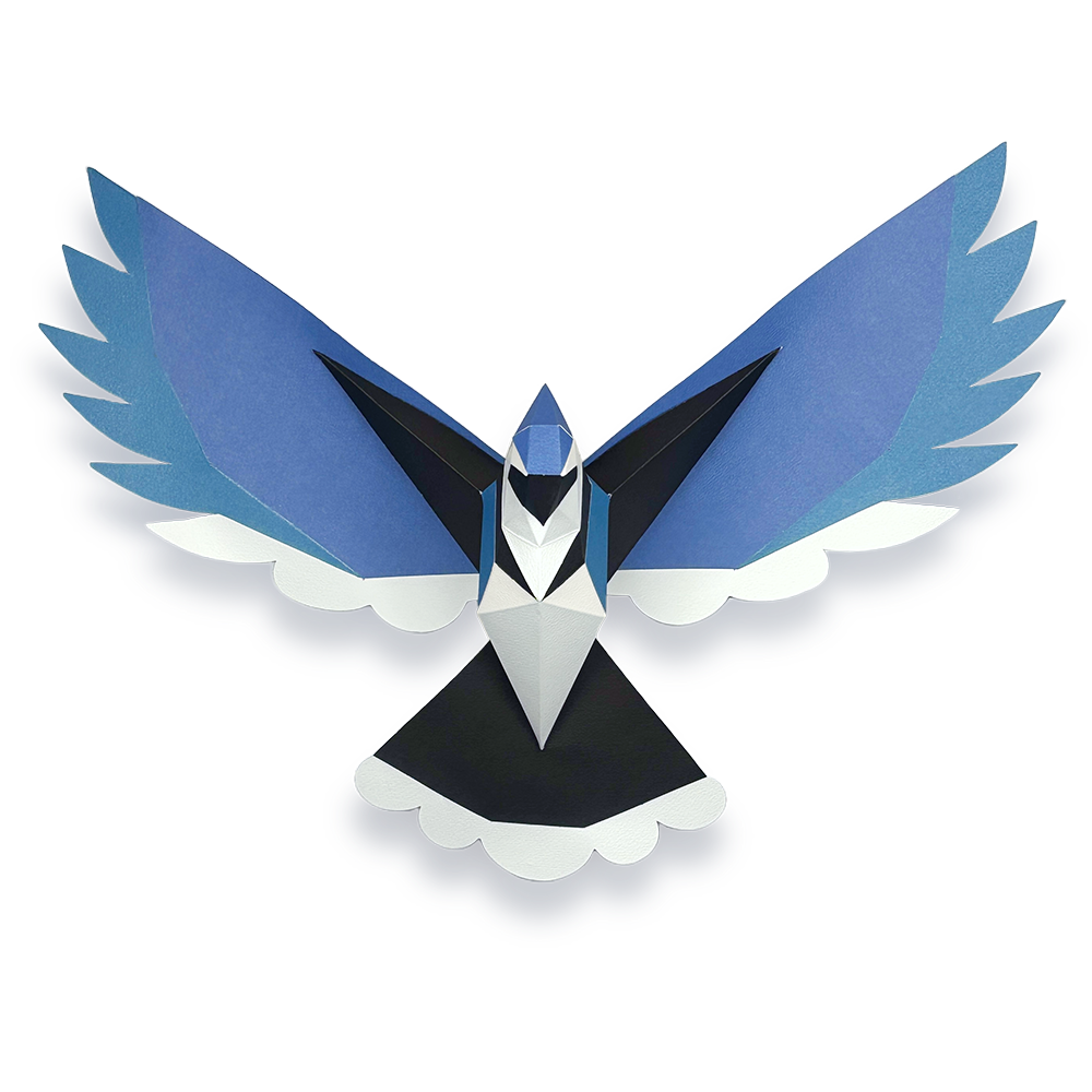 Geai Bleu