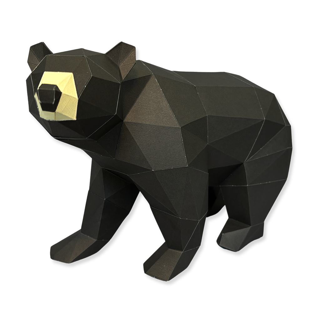 Ours Noir