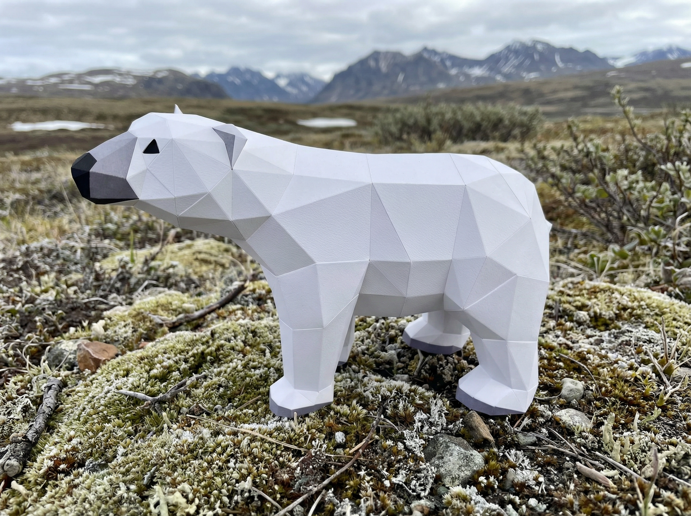 Ours Polaire