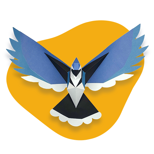 Geai Bleu