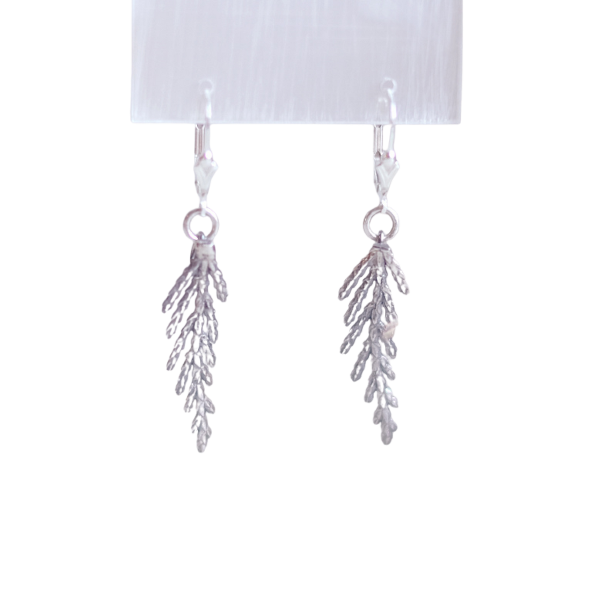 Petites Branches de Cèdre - Boucles d'oreilles en argent sterling