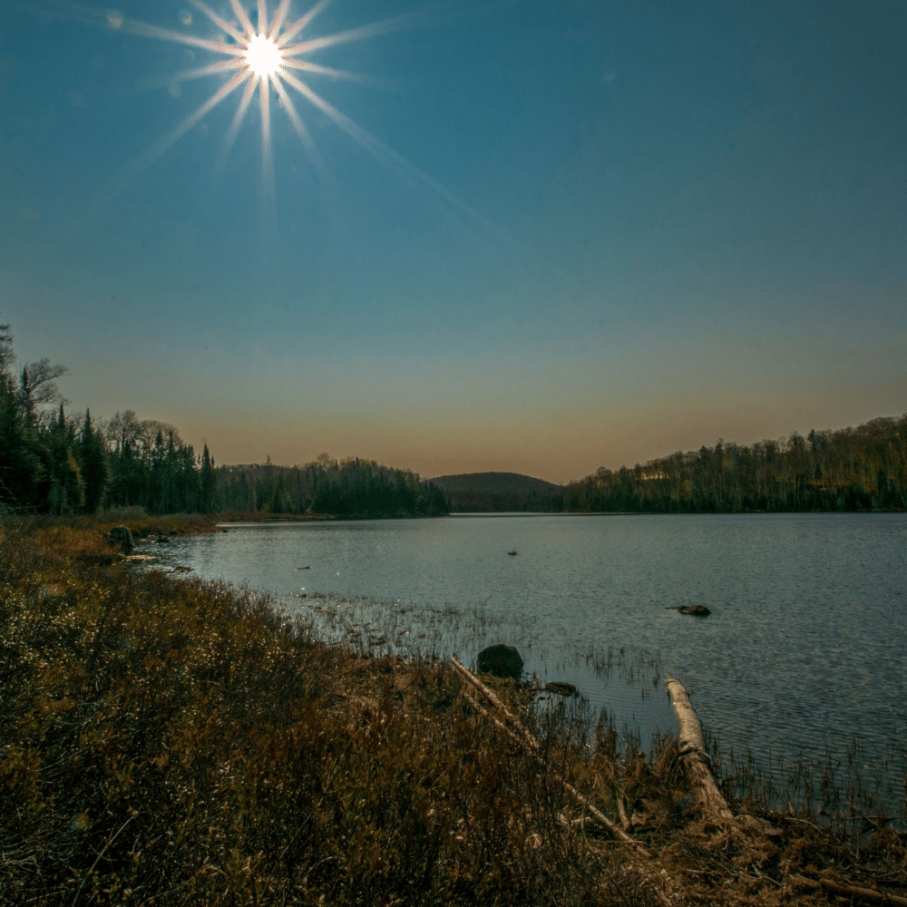 Deux nuits dans une cabane dans les arbres pour 2 personnes - Refuges du Lac Démêlé