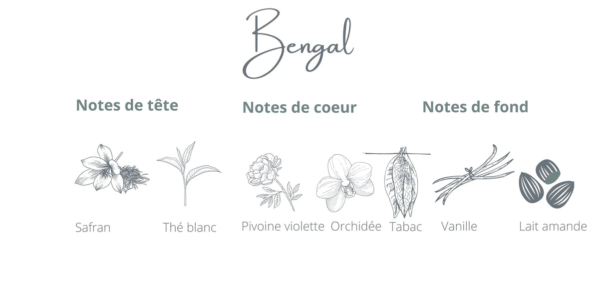 Bengal Candle | Saffron + White Tea