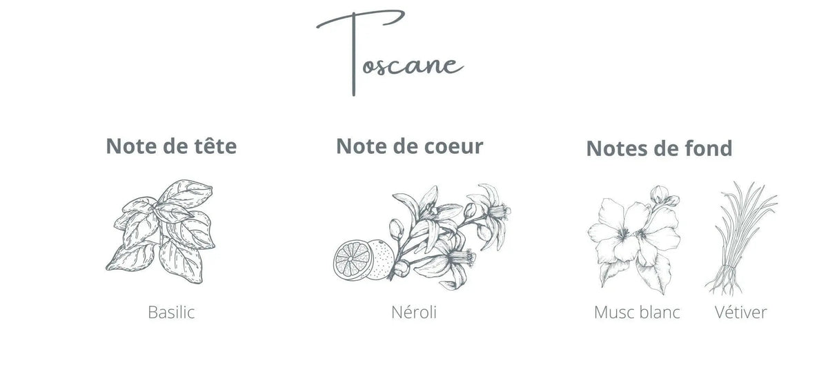 Recharge Toscane | Basilic + Néroli
