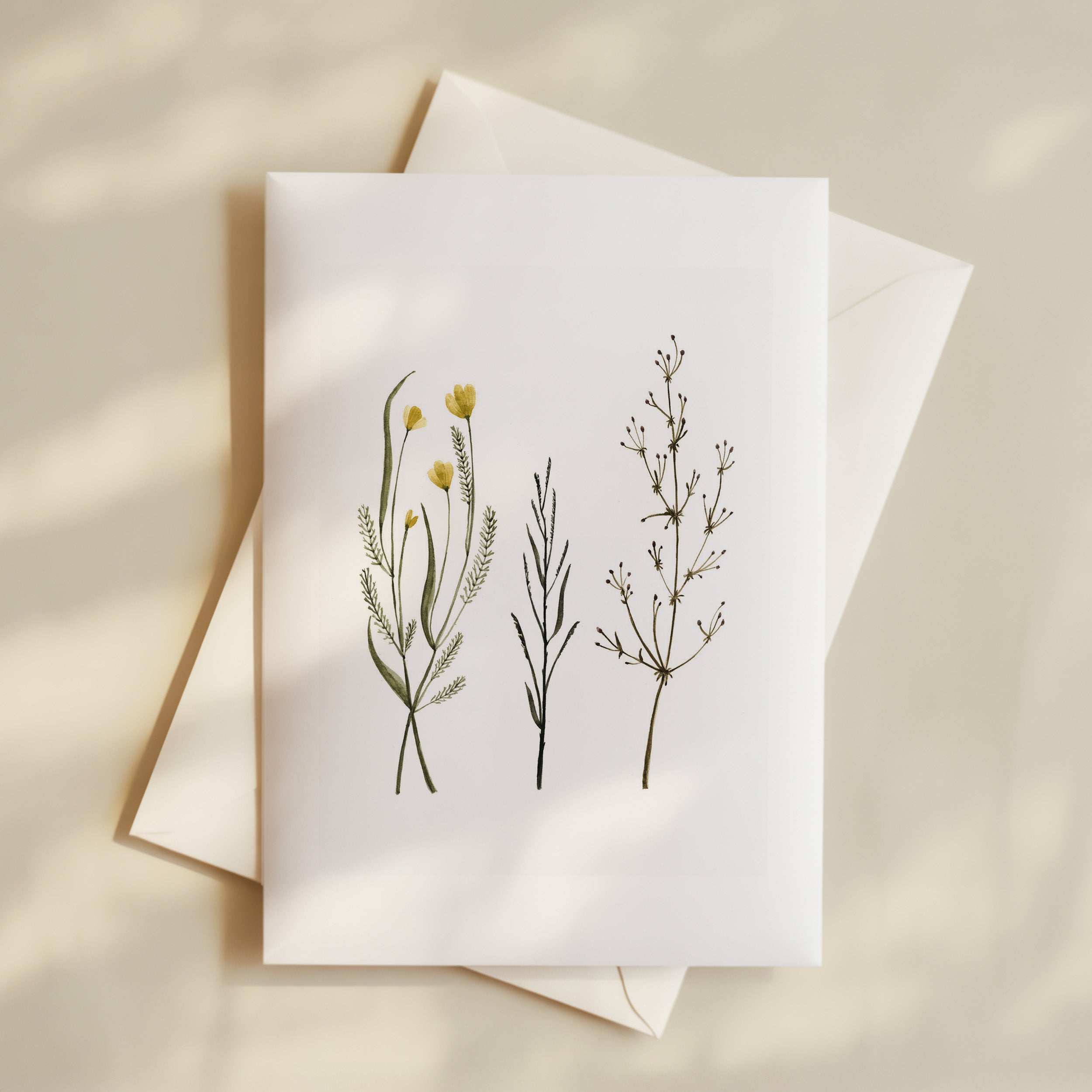 Carte de souhaits - Herbes des champs