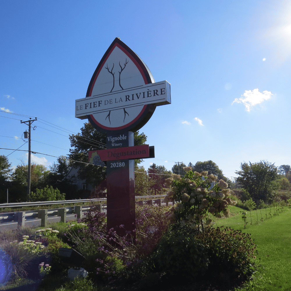 Dégustation et visite pour 4 personnes - Vignoble le Fief de la Rivière