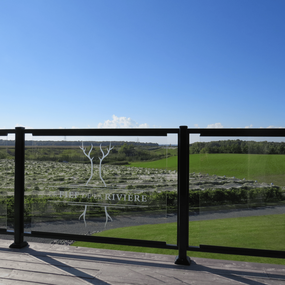 Dégustation et visite pour 4 personnes - Vignoble le Fief de la Rivière