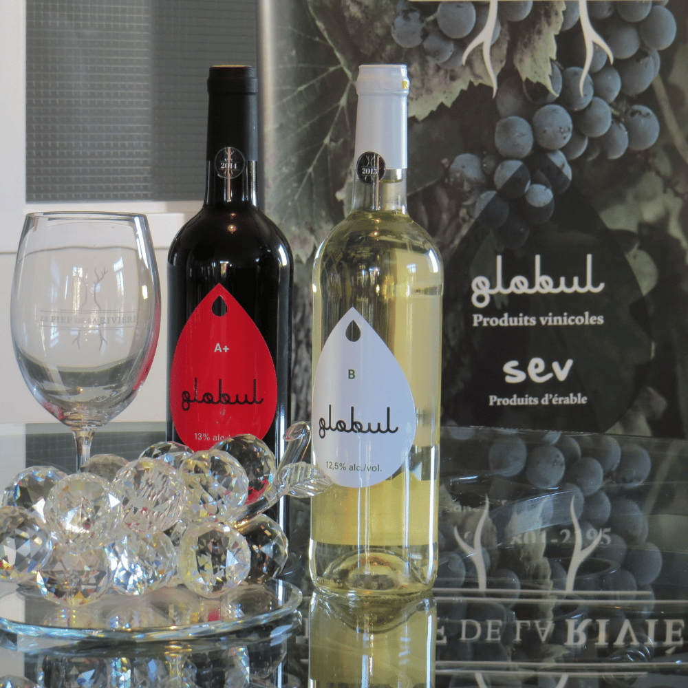 Dégustation et visite pour 4 personnes - Vignoble le Fief de la Rivière