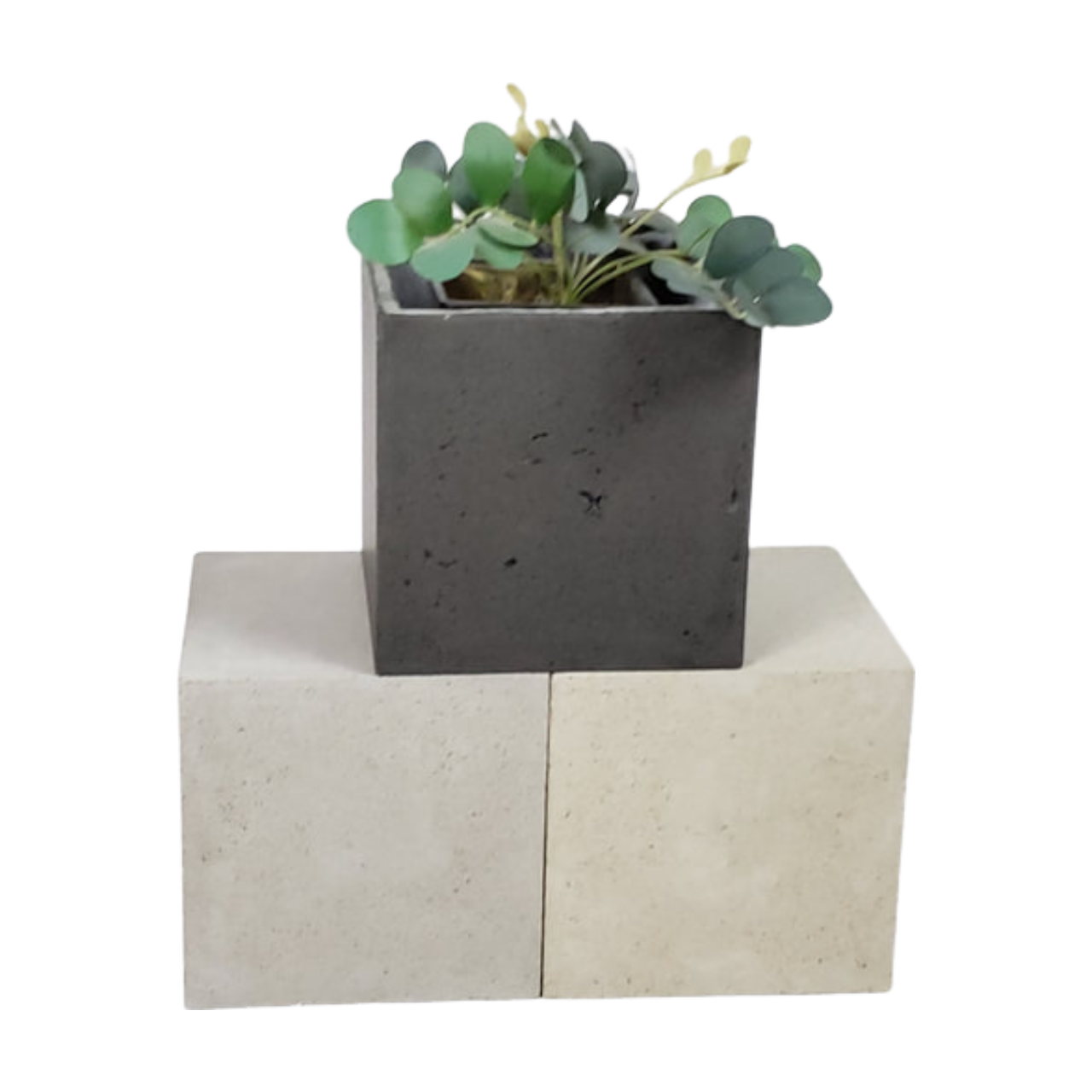 Cube - Petit