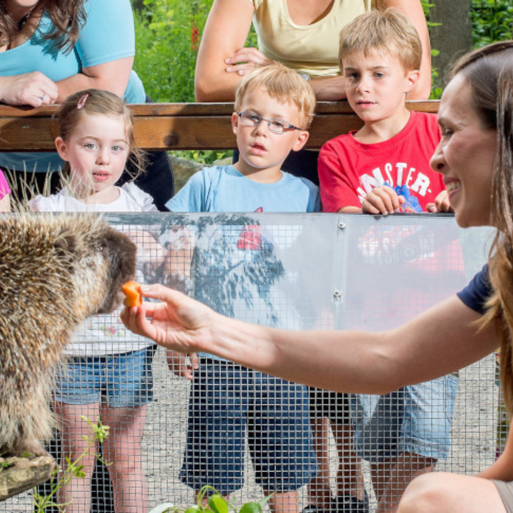Visite du zoo pour 2 personnes - Zoo Ecomuseum