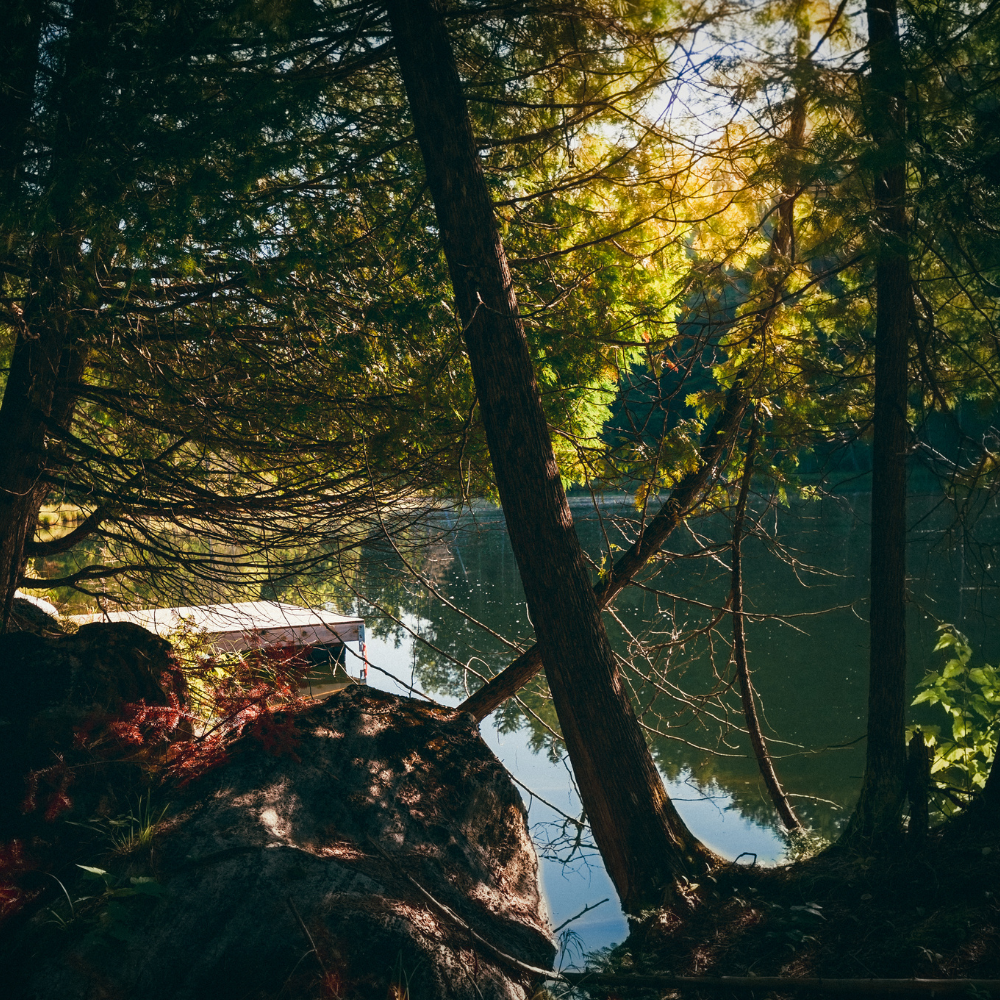 Séjour en micro-chalet pour deux personnes - CarpeDiem Aventures