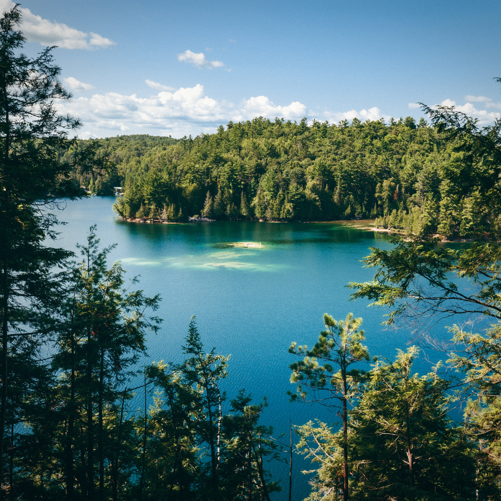 Séjour en micro-chalet pour deux personnes - CarpeDiem Aventures