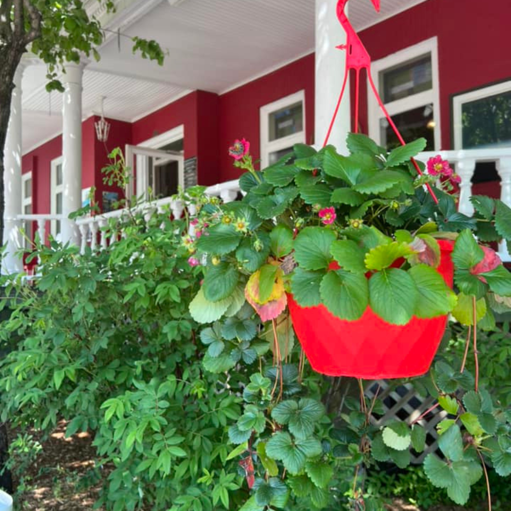 Cocktail et accès au spa pour 1 personne - Auberge La Grande Maison