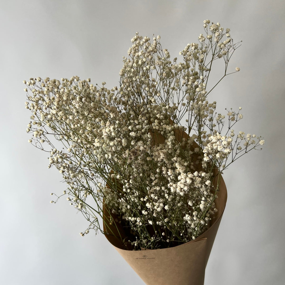 Gypsophile