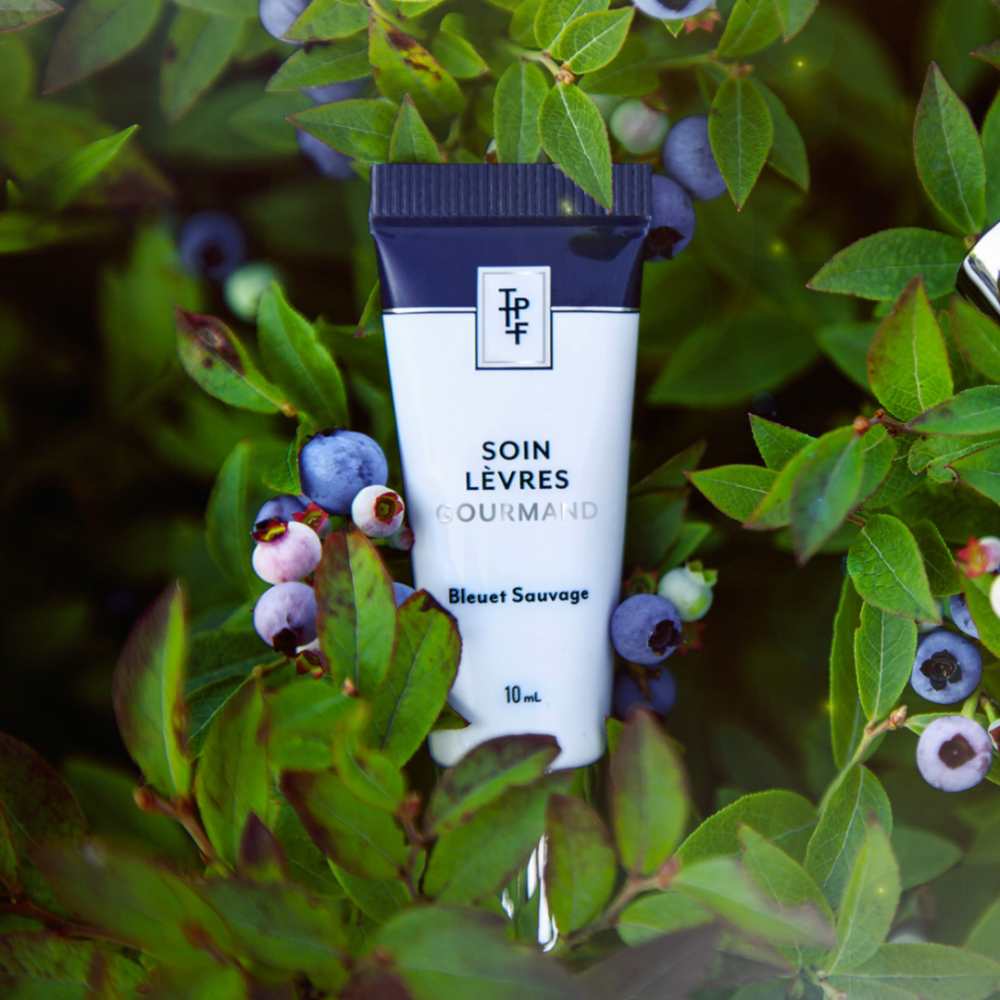 Soin gourmand pour les lèvres aux bleuets sauvages