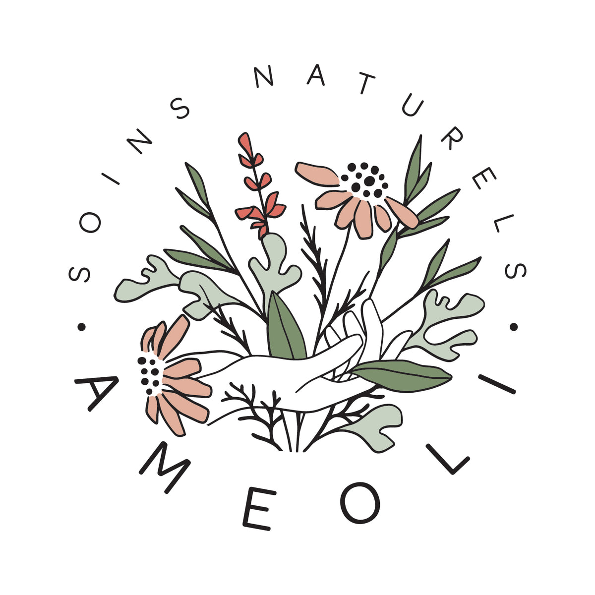 Logo ameoli