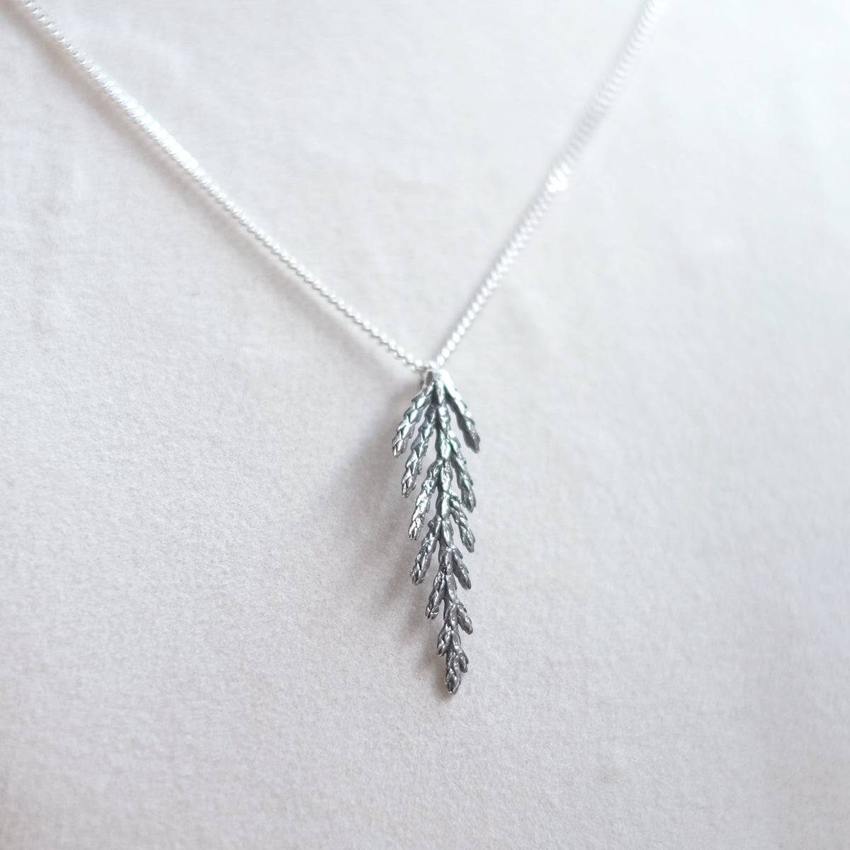 Collier branche de cèdre, petit