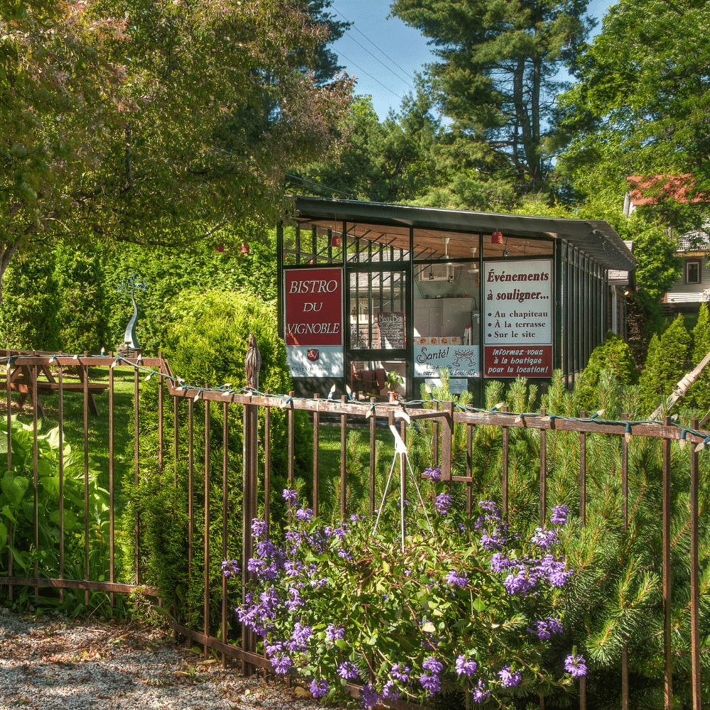 Dégustation de vins pour 2 personnes - Domaine des Côtes d'Ardoise