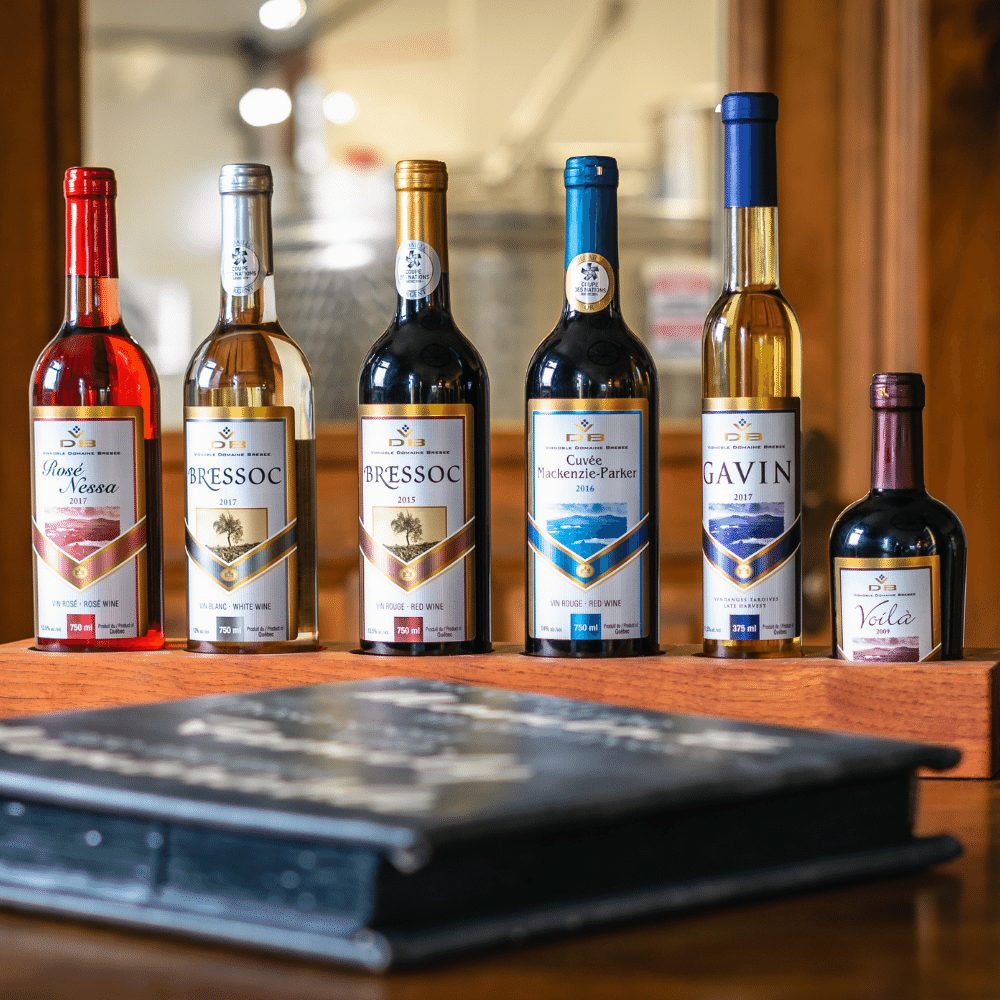 Dégustation et bouteilles de vin pour 2 personnes - Vignoble Domaine Bresee