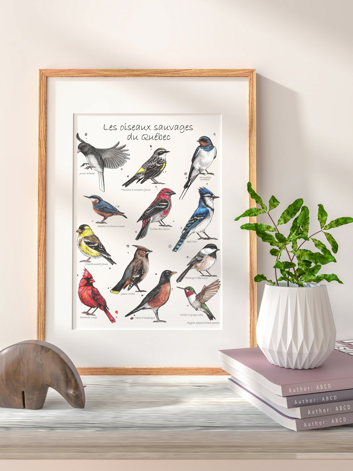 Affiche - Oiseaux du Québec
