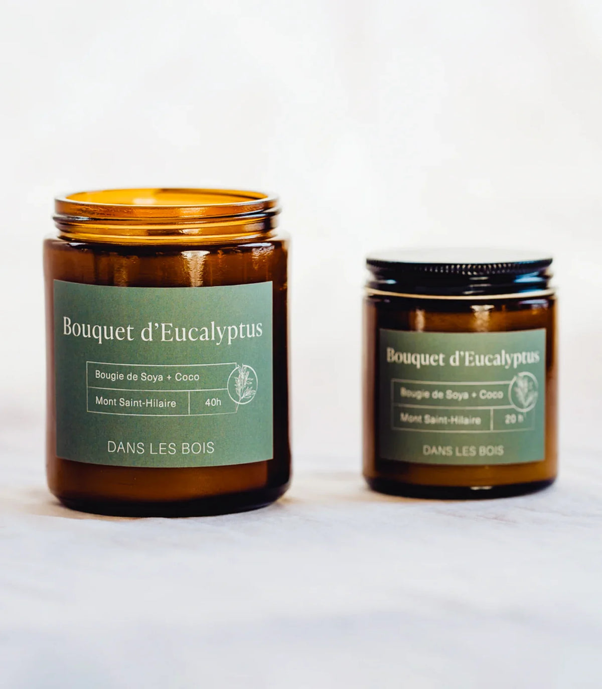 Bougie - Bouquet d'Eucalyptus