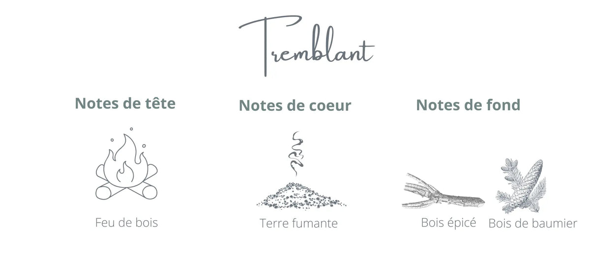 Bougie Tremblant | Feu de bois + Ambre