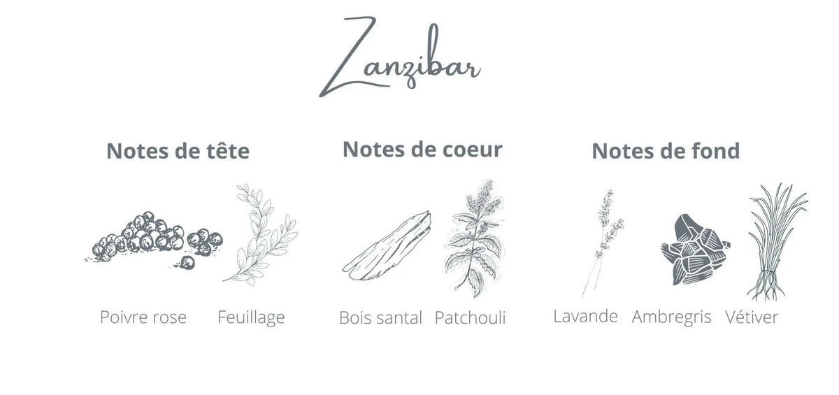 Zanzibar Candle | Pink Pepper + Vetiver