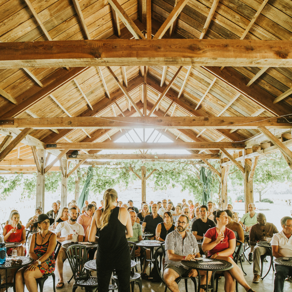 Dégustation de vins et boîte de 12 bouteilles pour 2 personnes - Domaine du Ridge